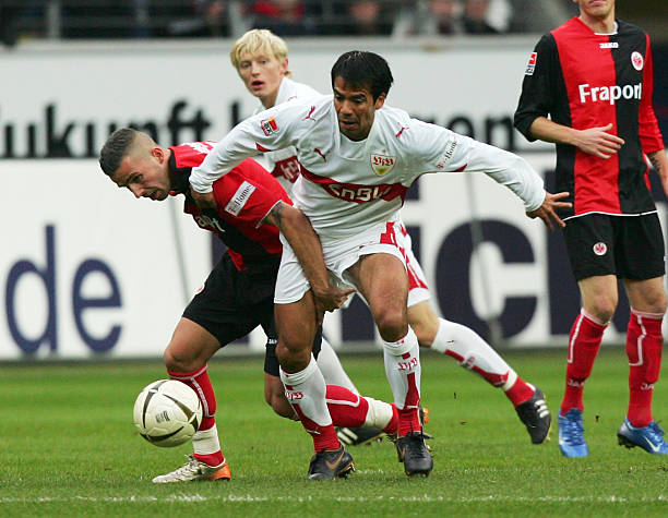 他险些被鸟 他险些被鸟